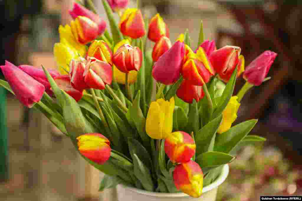 Базарда бир даана жоогазындын баасы 120 сомдон башталат.&nbsp;