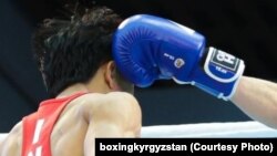  تصویر آرشیف: رقابت بوکس حرفوی 