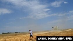 Бул сүрөт темага тийешелүү эмес