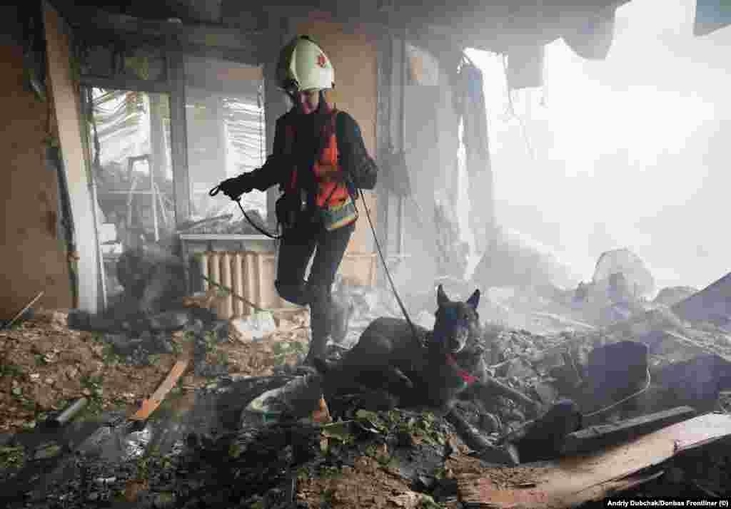 Survivors are announced with a happy bark from the dogs. In contrast, according to Borysenko (pictured), &quot;When bodies are found, some dogs also bark, but it&#39;s with a very different tone. Other dogs are silent, they lie down. It looks terrible, they shake and point to where the body is,&quot; she said.&nbsp; &nbsp;