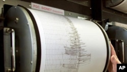 Կինետիկ սեյսմոգրաֆ, արխիվ