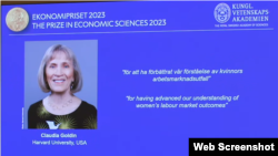 Клаудія Голдін переглянула архіви та зібрала дані зі США за понад 200 років, що дозволило їй продемонструвати, як і чому гендерні відмінності в доходах і рівнях зайнятості змінювалися з часом.
