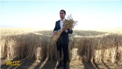 Prezident Balkanda galla oragynyň barşy bilen tanyşdy, Maryda we Lebapda hasyl pes 