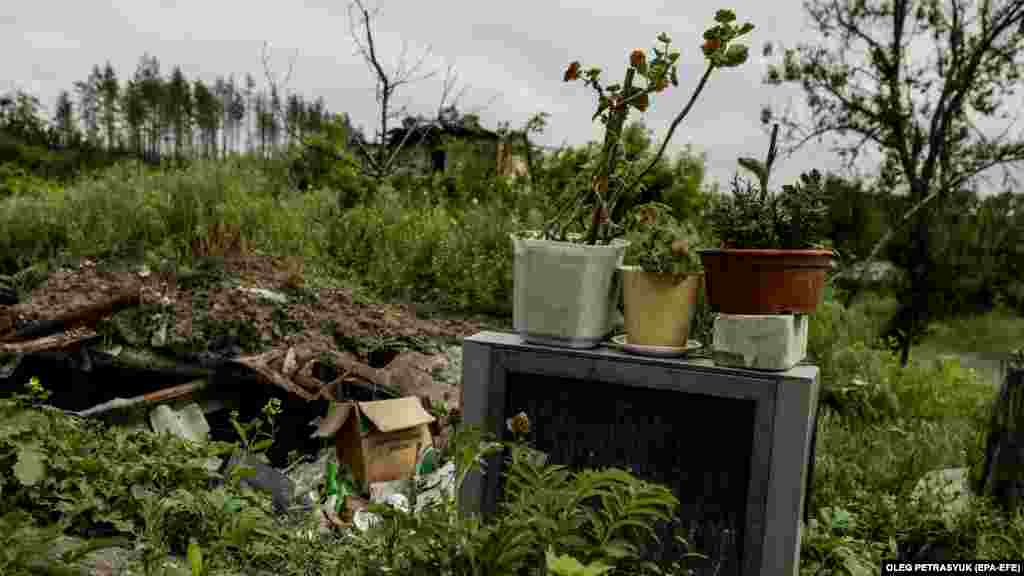Старий телевізор &ndash; це зараз підставка для рослин у їхньому саду. Станом на кінець травня до поруйнованого Богородичного повернулися лише 18 людей