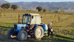 Diňle: Dökünler bilen üpjün edilmeýän balkanly daýhanlar awy pürküjileri satyn almaga mejbur edilýär