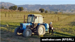 Türkmenistan (illýustrasiýa suraty) 