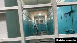 Иллюстрация. 