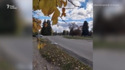 «Немає зв'язку дізнатися чи живі рідні у Кремінній» - історія переселенки з Кремінної