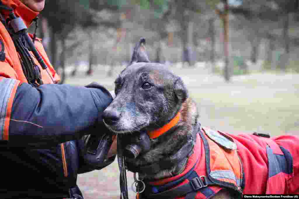 The Antares dogs are equipped with harnesses that allow them to be lowered into spaces with a rope, and special shoes to protect their feet while picking through rubble. The dogs also wear beepers that indicate both where the dogs are, and whether the dogs are moving or stationary, depending on how rapidly the beepers sound. &nbsp;