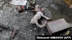 Ուկրաինա - Խաղալիքներ հրթիռակոծված շենքի փլատակներում, Օդեսա, հունիս, 2023թ.