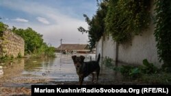 Херсон затопило, червень 2023 року