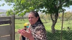 Üfunət iyi verən Xocasən gölü: 'Balıqlar da məhv olub'