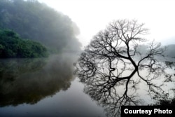 Японский пейзаж. Автор фото: Хаято Мацумото