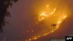 Палермо шаарынын жанындагы токойлорду каптаган өрт. ANSA агенттигинин сүрөтү. 25-июль, 2023-жыл.