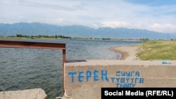 Иллюстрация үчүн колдонулган сүрөт 