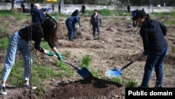 Жогорку Кеңештин кызматкерлеринин Энвер Гареев атындагы Ботаникалык бактагы ишембилиги. 20-апрель, 2024-жыл.