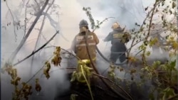 Deadly Wildfires In Kazakhstan Kill At Least 15 