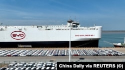 BYD электр унаалары Кытайдын Жянсу провинциясындагы Ляньюнганг портунда экспортко жүктөө үчүн даярдалып турат. (архивдик сүрөт)