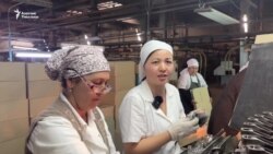 Майлуу-Суу заводу: "Өз жериңде иштеген жакшы"