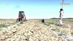 «Хочу сделать маме подарок». Школьники работают на каникулах, чтобы помочь семье  