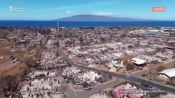 Гавайидеги өрттөн кийин миңден ашуун киши дайынсыз жоголду 