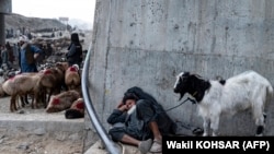 عکس از آرشیف