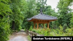 Дендрарийдеги Түштүк Корея бөлүгү. 