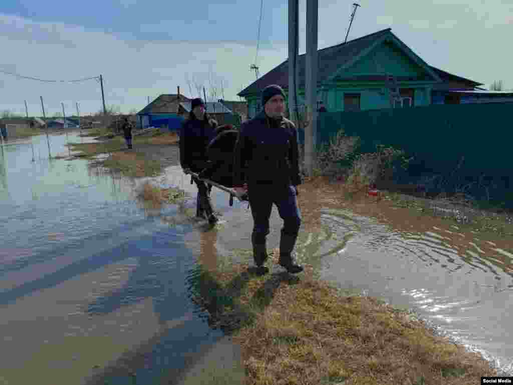 Алтай төбәге