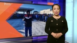 Маңгыстауда жүздөгөн киши иш таштады 