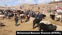 یکی از بازار های خرید و فروش مواشی 