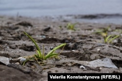 Обміління річки Дніпро у Запоріжжі через кататсрофу на Каховській ГЕС Запоріжжя