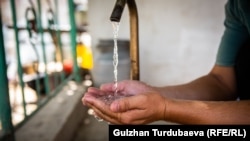 Иллюстрациялык сүрөт. 