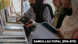 عکس از آرشیف - جنبه تزئینی دارد