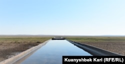 Это единственный водопой для лошадей в округе