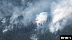 Абай облысындағы орман өрті. 12 маусым, 2023 жыл. 