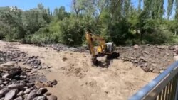 Жогорку сот активист Зарина Төрөкулованы абакта калтырды