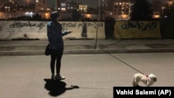 İranlı qadın parkda itini gəzdirir.