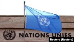 بیرق سازمان ملل متحد