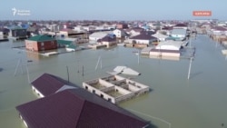 Күлсарыда суу баскан үйлөр көгөрүп жатат