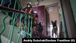 Ukraine's Four-Pawed War Heroes