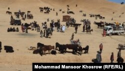 بازار فروش مواشی در ولایت بامیان 