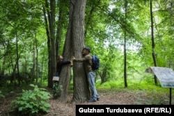 Дендрарийдин көрүүчүлөрү Гинкго билоба дарагын кучактап турушат.