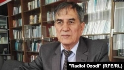 Неъматулло Мирсаидов, коршиноси масоили марзӣ.