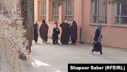یکی از مکاتب دخترانه در هرات 