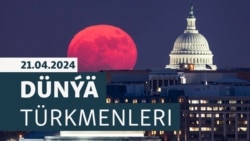 DT: ABŞ-da ýaşaýan owganystanly türkmen žurnalistiniň 'täze dünýädäki' durmuş tejribeleri