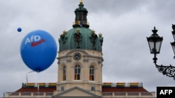 Видання вивчили зламане листування прокремлівського пропагандиста Володимира Сергієнка: з нього випливає, що той виступав посередником між Кремлем і представниками AfD