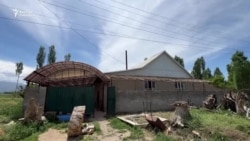 Жан-жаныбардын турпатын жасаган уста 