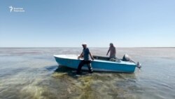 Кичи Арал тартылды. Кароосуз кайыкка толгон жээк