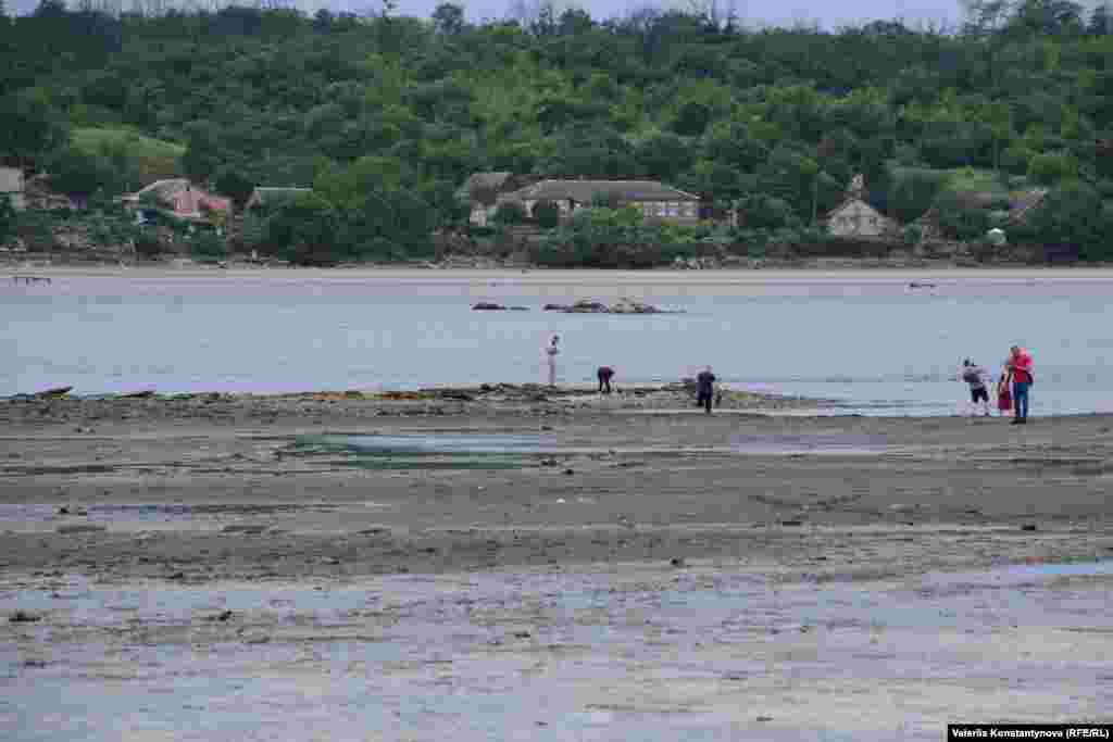 Острови посеред річки Дніпро у Запоріжжі