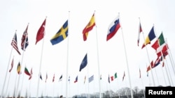 Засідання пройде під головуванням генерального секретаря альянсу Марка Рютте